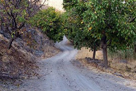 ثبت شرکت مسئولیت محدود در چناران